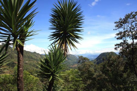 paesaggio lungo la strada
